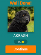 dog breeds quiz screenshot 17