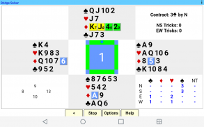 Bridge Solver screenshot 3