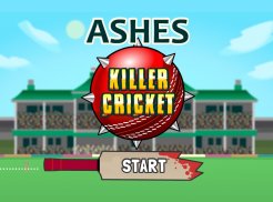 Ashes Killer Cricket screenshot 1