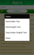 Nahjul Fasahah - English screenshot 7