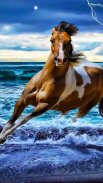 Horses Live Wallpaper screenshot 6