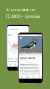 Merlin Bird ID by Cornell Lab screenshot 2
