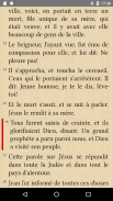 Bible Louis Segond (LSG) screenshot 7