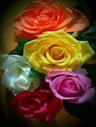 Beautiful Flowers Roses Gif screenshot 5