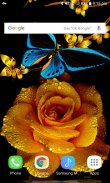 Golden Rose Live Wallpaper screenshot 1