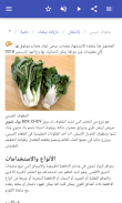 خضروات screenshot 8