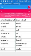English Slovak Dictionary screenshot 3