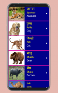 Learn Hindi From English screenshot 7