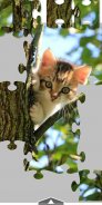 Kittens Jigsaw Puzzle - Free screenshot 5