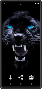 Panther Wallpapers screenshot 0