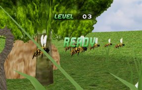 Insect Race screenshot 5