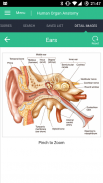 Human Organs Anatomy Reference Guide screenshot 3