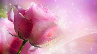 Pink Roses Live Wallpaper screenshot 0