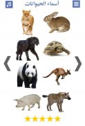 تعليم اصوات الحيوانات و صور و اسماء الحيوانات screenshot 3