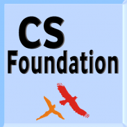 CS-Foundation screenshot 7