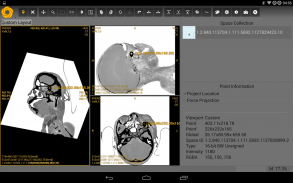 Symmetry DICOM screenshot 9