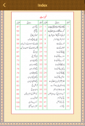 Hajj & Umrah Guide Urdu screenshot 2