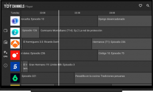 TDTChannels | TV en directo screenshot 7