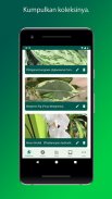 PlantSnap-Identifikasi Tanaman, Bunga, Pohon & Dll screenshot 3