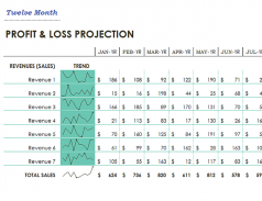 Income Statement Templates screenshot 5