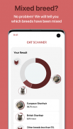 Cat Scanner - Identificar la raza del gato screenshot 0