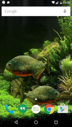 3D Fish Aquarium Wallpaper HD screenshot 0