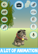 Talking Cat screenshot 4