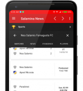 Salamina News screenshot 6