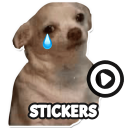 Dog meme sticker WAStickerApps