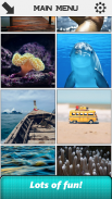 Ocean Slide Puzzle screenshot 7