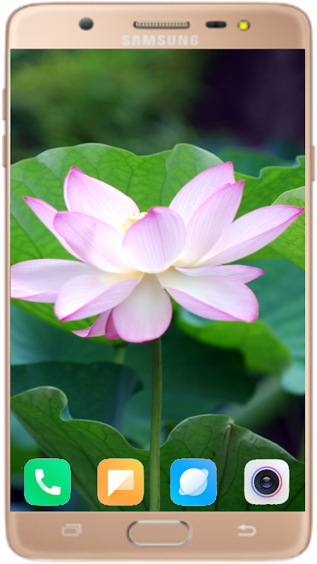 Lotus Wallpaper Best HD - APK Download for Android | Aptoide
