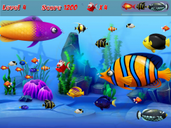 Hungry Piranha Fish screenshot 5