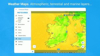 Weather 14 Days - Meteored screenshot 13