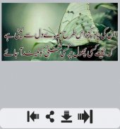 Phool Shayari screenshot 1