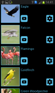 Bird Sounds & Ringtones screenshot 1