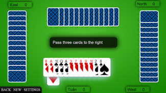 Cards Solitaire - Spider Solit screenshot 0