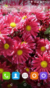 Colourful Flower Hd Wallpaper screenshot 3