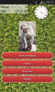 Dog Breeds Quiz screenshot 3