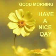 good morning good night and evening quotes screenshot 1