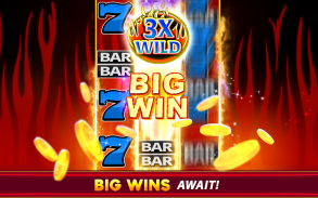 Wild Triple Slots 777拉斯维加斯 老虎机 screenshot 11