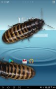 Cucaracha en Teléfono de broma screenshot 3