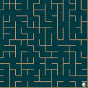 Maze Icon