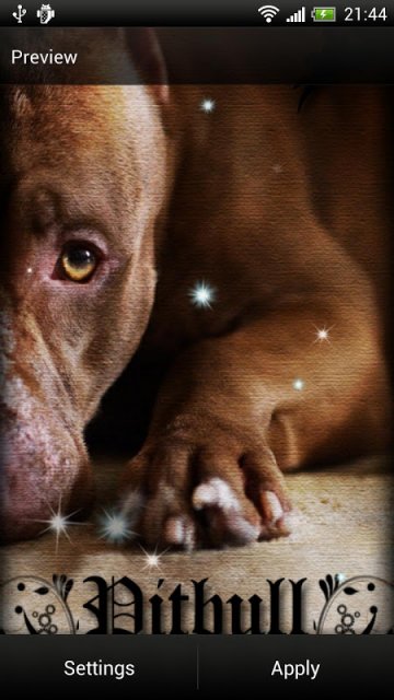 Pitbull Dog Live Wallpaper | Download APK for Android - Aptoide