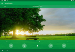 Relax Campo: sons para dormir screenshot 2