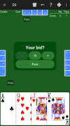 29 Card Game - Expert AI screenshot 15