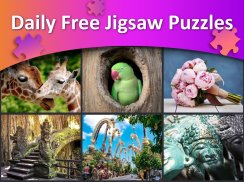 Jigsaw Puzzles HD - quebra-cabeça adulto grátis screenshot 3