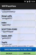 WiFi PassView password viewer screenshot 0