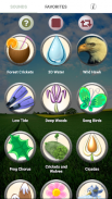 Nature Sounds Ringtones screenshot 4