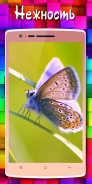 Обои бабочки screenshot 0