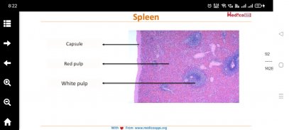 1st MBBS NEET PG screenshot 1